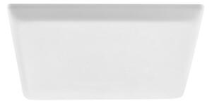 Rabalux 5374 - LED Podhledové svítidlo OLEG LED/24W/230V IP65