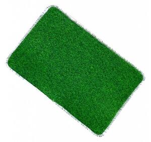 Dveřní rohožka 40x60 cm - Standart Barva: Zelená