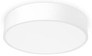Palnas 61000732 - LED Stropní svítidlo RENY 400 LED/30W/230V