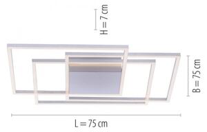 Paul Neuhaus 8256-55 - LED Stmívatelné stropní svítidlo INIGO 3xLED/16W/230V