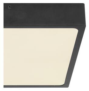 Globo 12369-22 - LED Stropní svítidlo ECHO LED/22W/230V