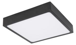 Globo 12369-22 - LED Stropní svítidlo ECHO LED/22W/230V