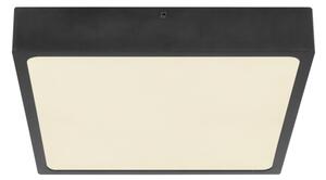 Globo 12369-22 - LED Stropní svítidlo ECHO LED/22W/230V