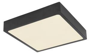Globo 12369-22 - LED Stropní svítidlo ECHO LED/22W/230V