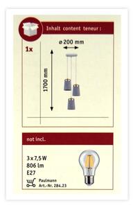 Paulmann 79627 - Lustr na lanku NORELL 3xE27/20W/230V beton