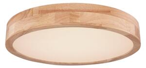 Globo 41745-24 - LED Stmívatelné stropní svítidlo RAINER LED/24W/230V + DO