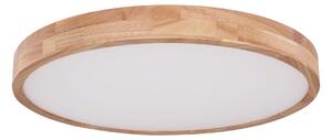 Globo 41745-48 - LED Stmívatelné stropní svítidlo RAINER LED/48W/230V + DO