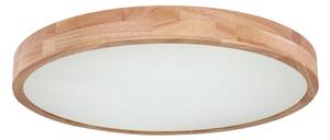 Globo 41745-48 - LED Stmívatelné stropní svítidlo RAINER LED/48W/230V + DO