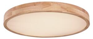Globo 41745-48 - LED Stmívatelné stropní svítidlo RAINER LED/48W/230V + DO