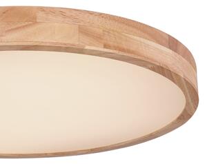 Globo 41745-48 - LED Stmívatelné stropní svítidlo RAINER LED/48W/230V + DO