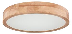 Globo 41745-24 - LED Stmívatelné stropní svítidlo RAINER LED/24W/230V + DO