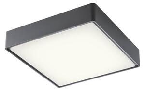 Redo 90158 - LED Venkovní stropní svítidlo MARINA LED/16W/230V IP65 antracit