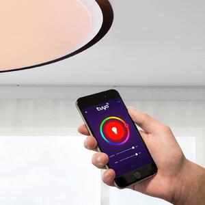 LED stropní světlo Xaver Smart Home stmívací CCT