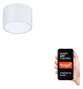Immax NEO 07024L-15 - LED Stmívatelné stropní svítidlo RONDATE LED/12W/230V Tuya