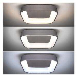 Solight WO769-G - LED Stmívatelné stropní svítidlo TREVISO LED/48W/230V + DO