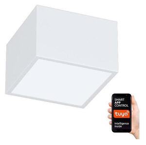 Immax NEO 07072L-15 - LED Stmívatelné svítidlo CANTO LED/12W/230V bílá