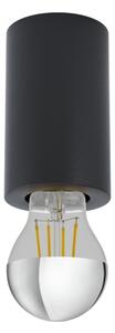 Eglo 99065 - Stropní svítidlo SALUZZO 1xE27/40W/230V