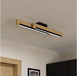 Eglo 99292 - LED Stmívatelné stropní svítidlo CAMACHO 2xLED/10W/230V