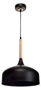Lustr na lanku TAYLOR 1xE27/60W/230V