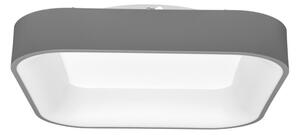Ecolite WMKL01S-40W/LED-SED - LED Stmívatelné svítidlo NEST LED/40W/230V