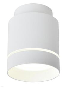 LED Stropní svítidlo TUBA LED/12W/230V
