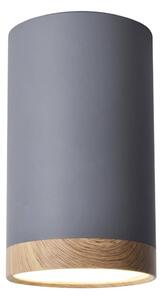 LED Stropní svítidlo TUBA LED/9W/230V