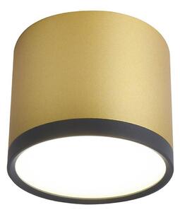 LED Stropní svítidlo TUBA LED/9W/230V