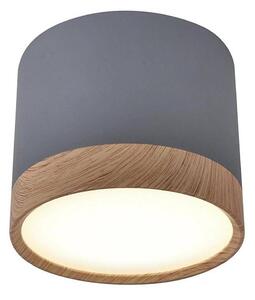 LED Stropní svítidlo TUBA LED/9W/230V