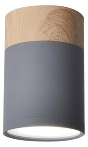 Stropní svítidlo TUBA GU10/15W/230V
