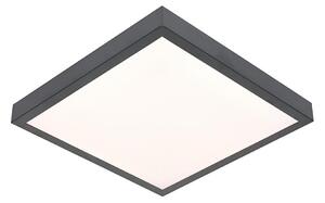 LED Stropní svítidlo VITALI LED/24W/230V