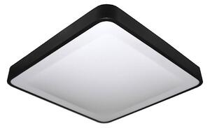 LED Stropní svítidlo WILTON LED/24W/230V černá