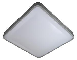 LED Stropní svítidlo WILTON LED/24W/230V šedá