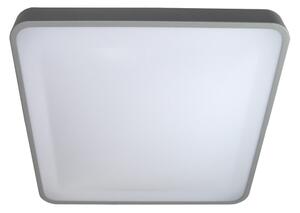 LED Stropní svítidlo WILTON LED/24W/230V šedá
