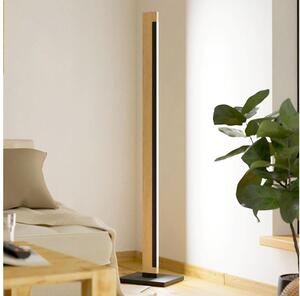 Eglo 99296 - LED Stmívatelná stojací lampa CAMACHO LED/22W/230V