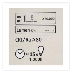 LED Stmívatelná žárovka CLASSIC G125 E27/4,5W/230V 2600K - Paulmann 28742