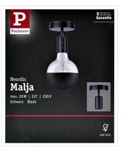 Paulmann 79760 - Stropní svítidlo HALDOR 1xE27/20W/230V