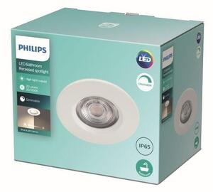 Philips - LED Stmívatelné koupelnové svítidlo DIVE LED/5W/230V 2700K IP65