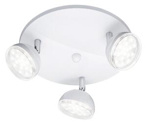 Trio - LED Bodové svítidlo BOLOU 3xLED/3,8W/230V