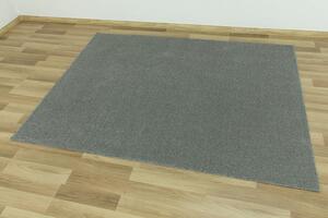 Betap Kusový koberec Dynasty 75 stříbrný Rozměr: 100x150 cm