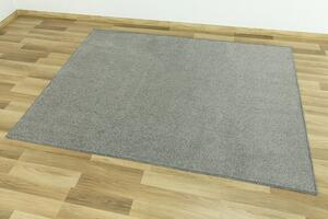 Betap Kusový koberec Dynasty 79 světle šedý Rozměr: 200x250 cm