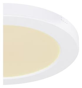 Globo 12379-18W - LED Stropní svítidlo LASSE LED/18W/230V