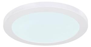 Globo 12379-24W - LED Stropní svítidlo LASSE LED/24W/230V