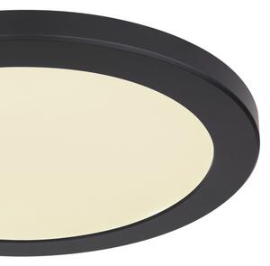 Globo 12379-24B - LED Stropní svítidlo LASSE LED/24W/230V