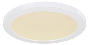 Globo 12379-24W - LED Stropní svítidlo LASSE LED/24W/230V