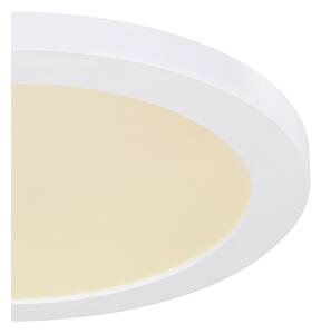Globo 12379-24W - LED Stropní svítidlo LASSE LED/24W/230V
