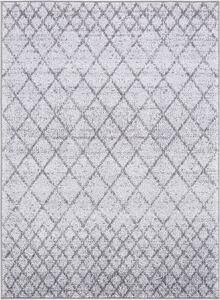 Kusový koberec Agnella Avanti Nana šedý Rozměr: 300x400 cm