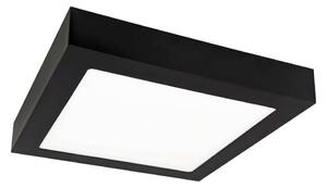 LED Stropní svítidlo FENIX LED/12W/230V 3800K 17 cm