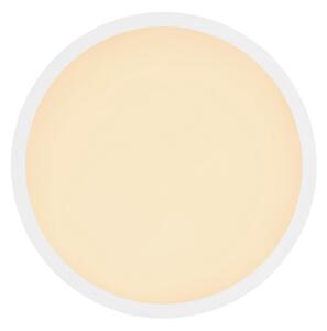 Globo 41562-18W - LED Koupelnové stropní svítidlo SAPANA LED/18W/230V IP44