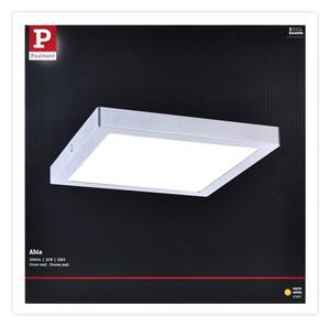 Paulmann 70982 - LED/22W Stropní svítidlo ABIA 230V