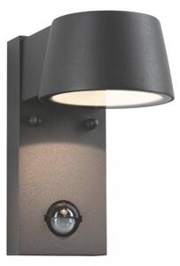 Paulmann 94453 - LED/6W IP44 Venkovní nástěnné svítidlo se senzorem CAPEA 230V